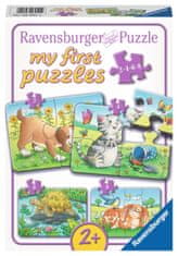 Ravensburger Az első puzzle Pets 4 az 1-ben (2,4,6,8 darab)