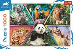 Trefl Puzzle Animal Planet: Animal Kingdom 1000 db