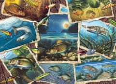 Cobble Hill Rejtvény Képek halakról 1000 db