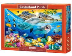 Castorland Puzzle Delfinek a trópusokon 1000 db