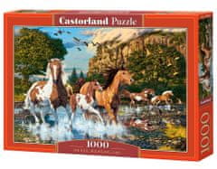 Castorland Puzzle Horse Wonderland 1000 db