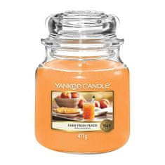 Yankee Candle YANKEE GYERTYA EREDETI KÖZEPES TEDÉLY FARM FRESH PEACH 1631313E, YANKEE GYERTYA EREDETI KÖZEPES TEDÉLY FARM FRESH PEACH 1631313E