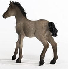 Schleich Criollo Definitivo csikó 13949