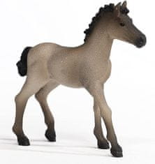 Schleich Criollo Definitivo csikó 13949