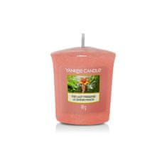 Yankee Candle Illatgyertya The Last Paradise 49 g