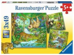 Ravensburger Puzzle Állatok a dzsungelben 3x49 darab
