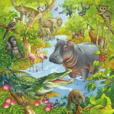 Ravensburger Puzzle Állatok a dzsungelben 3x49 darab