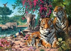 Castorland Puzzle Tiger Sanctuary 300 db