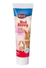 Trixie Malátapaszta Red Berry rágcsálóknak 100g TR