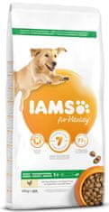 IAMS Dog Adult Large Chicken 12 kg