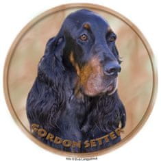 saxun Matrica autóra Gordon szetter - Gordon Setter matrica