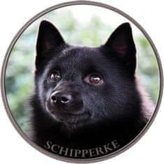 saxun Matrica autóra Schipperke