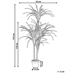 Beliani Cserepes Műnövény 147 cm DRACAENA ANITA