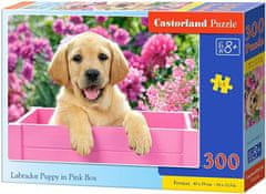 Castorland Labrador puzzle 300 darabos rózsaszín dobozban