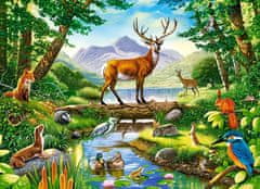 Castorland Puzzle Forest Harmony 300 db