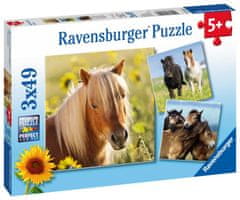 Ravensburger Édes lovak puzzle/3x49 darab