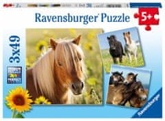 Ravensburger Édes lovak puzzle/3x49 darab