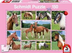 Schmidt Puzzle Csodálatos lovak 150 db