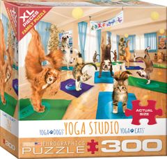 EuroGraphics Yoga Studio XL 300 darab