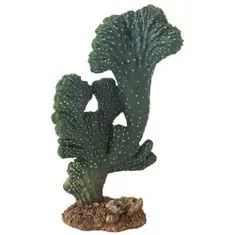 HOBBY Terraristik HOBBY Kaktusz Victoria 22cm