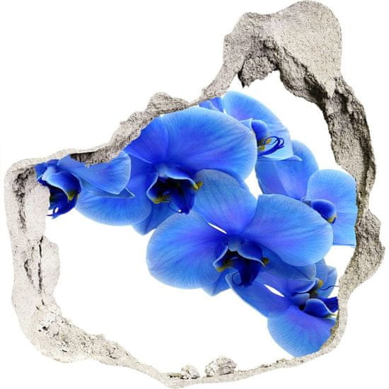 Wallmuralia.hu 3d fali matrica lyuk a falban Kék orchidea