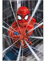 Poszter Spider-Man - Gotcha