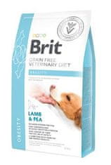 Brit VD Dog GF Elhízás 2kg