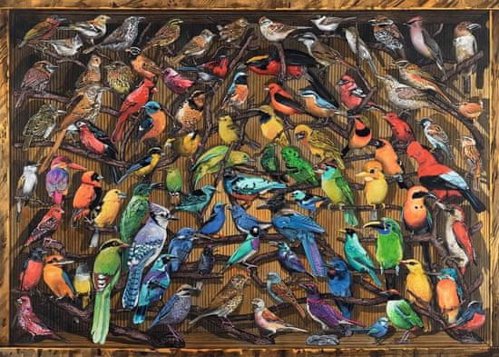 Ravensburger Puzzle Birds of the World 1000 db