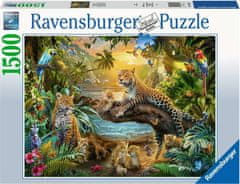 Ravensburger Rejtvény Savana 1500 db