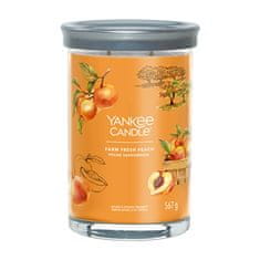 Yankee Candle Illatgyertya Signature tumbler Farm Fresh Peach 567 g - nagy