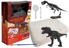shumee Állítsa be az ásatási csontváz modellt Dinosaur Tyrannosaurus Rex