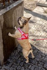 curli Hám kutyáknak csatos Merinó gyapjú Piros XL, 12-18 kg